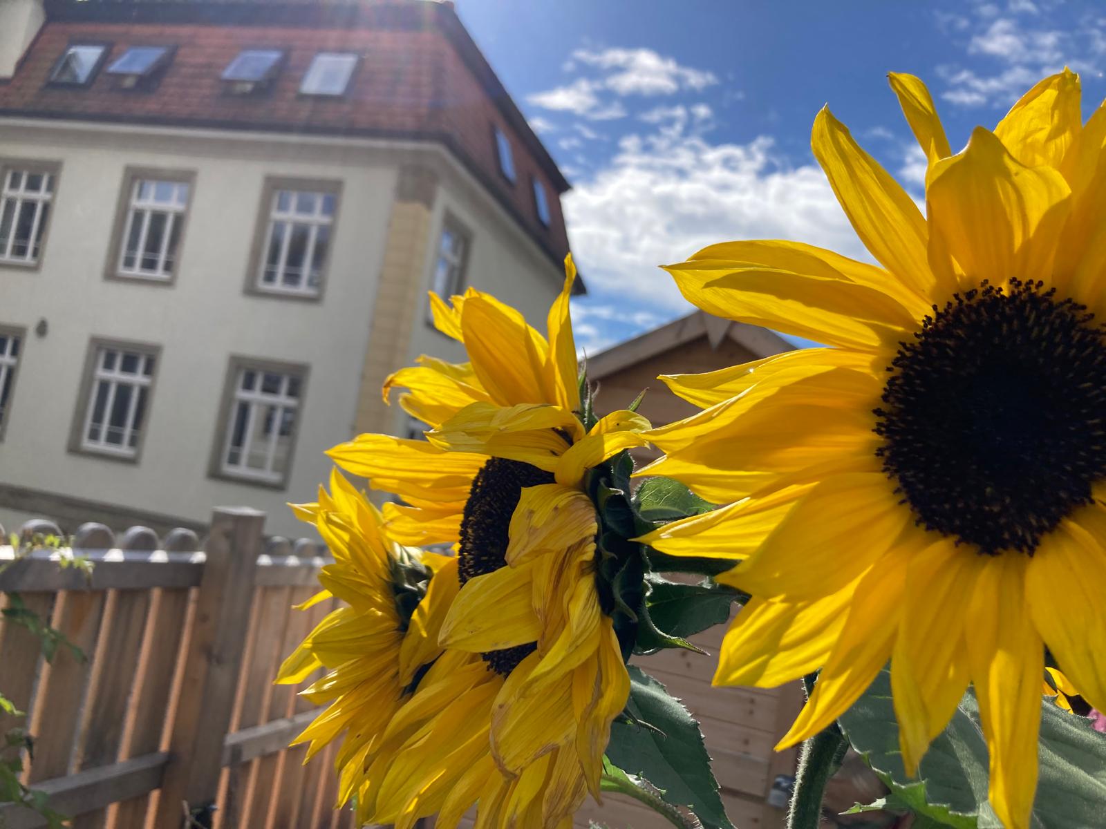 Garten-ag_herbst4