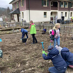 image (5)